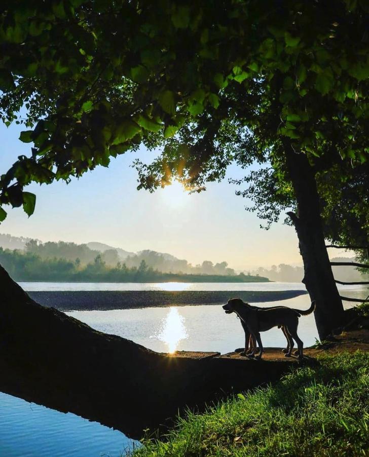 Drinska laguna Banja Koviljaca Bagian luar foto
